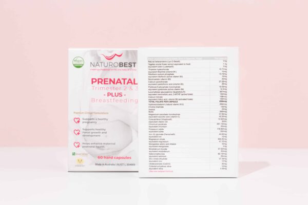 Prenatal Trimester 2 & 3 Plus Breastfeeding 4