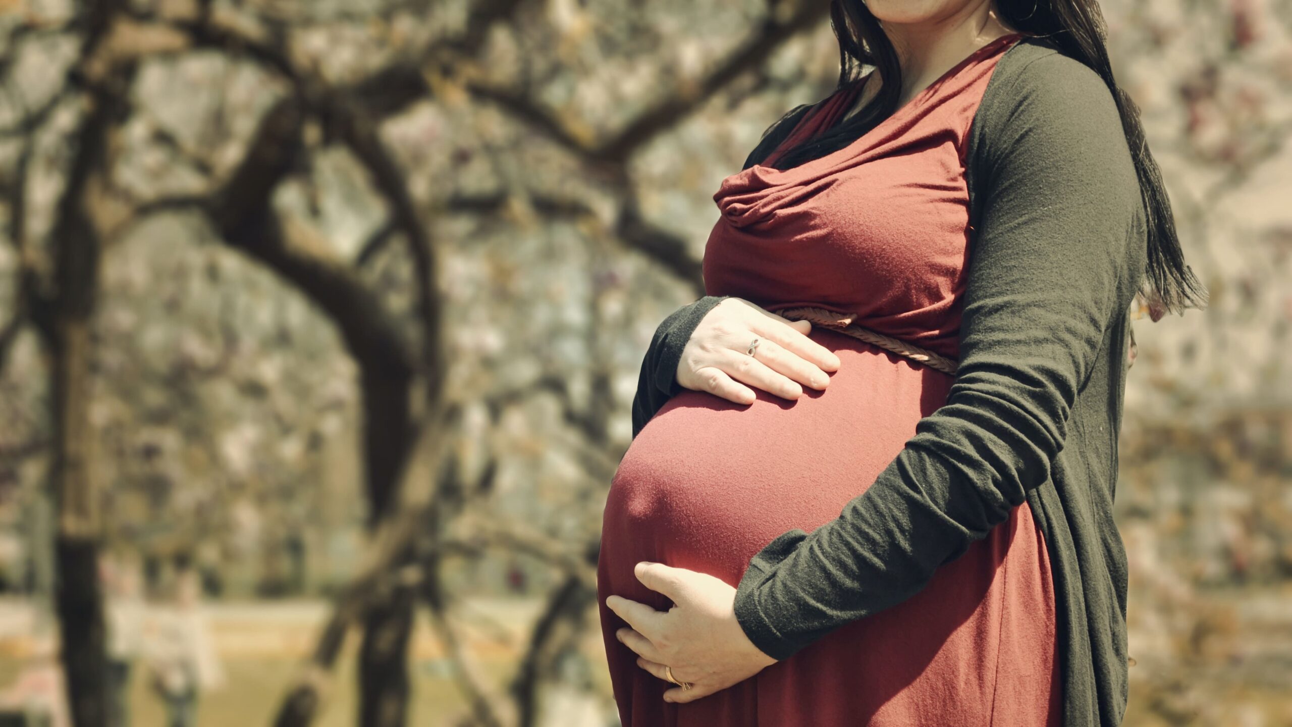 The Integrated Midwife home banner